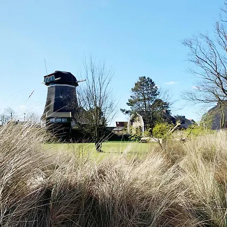 Mill In The Dunes بيت للعطل *